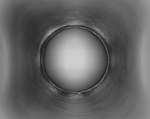 X0000116461270200912161225