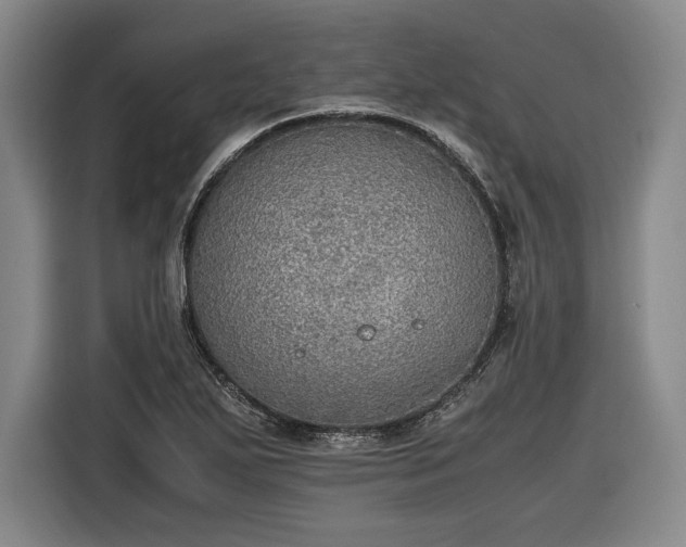 X0000116461271200912161225
