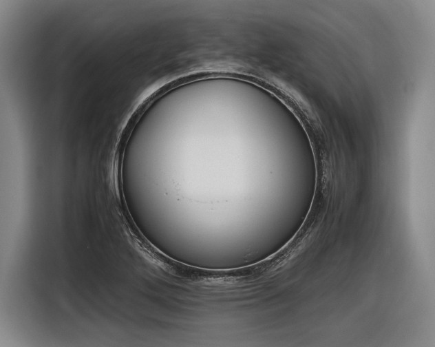 X0000116461272200912161225