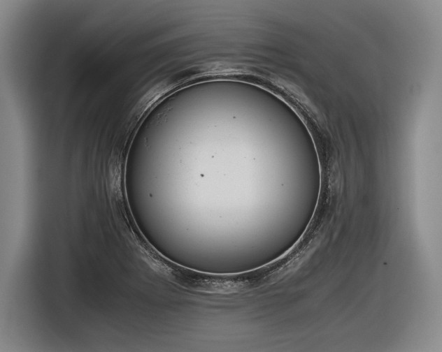 X0000116461273200912161225