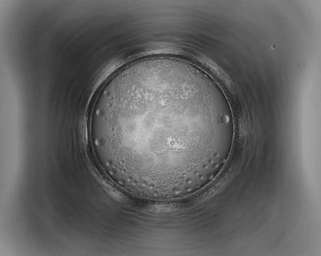 X0000116461274200912161225