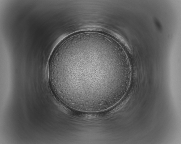 X0000116461275200912161225
