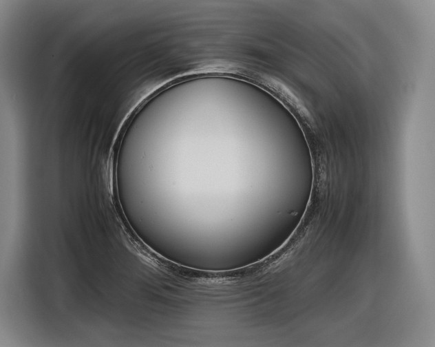X0000116461276200912161225