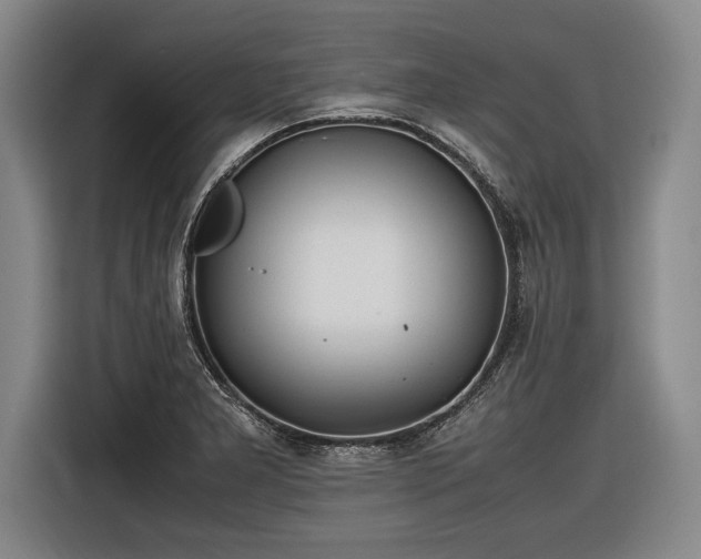 X0000116461277200912161225