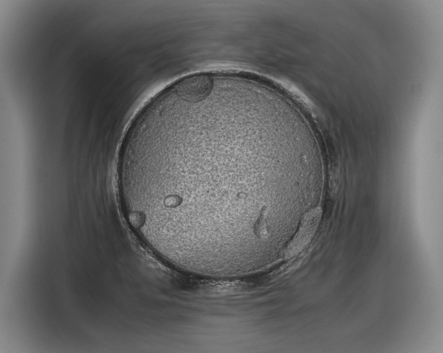 X0000116461279200912161225