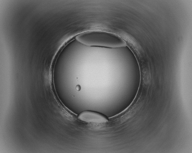 X0000116461280200912161225