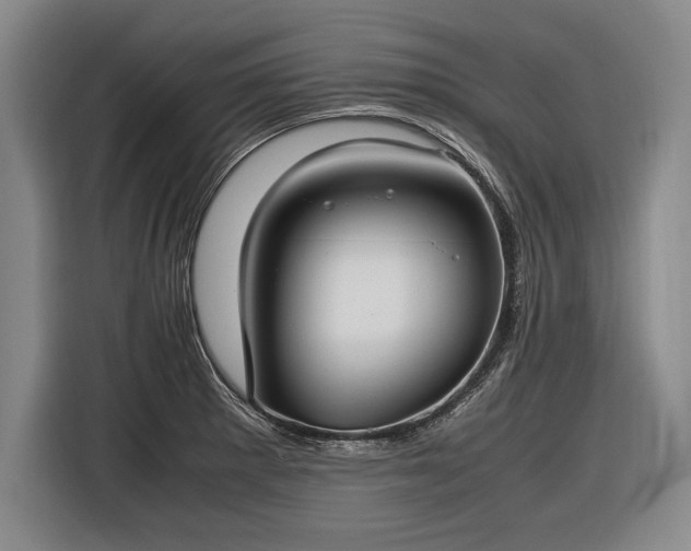 X0000116461281200912161225