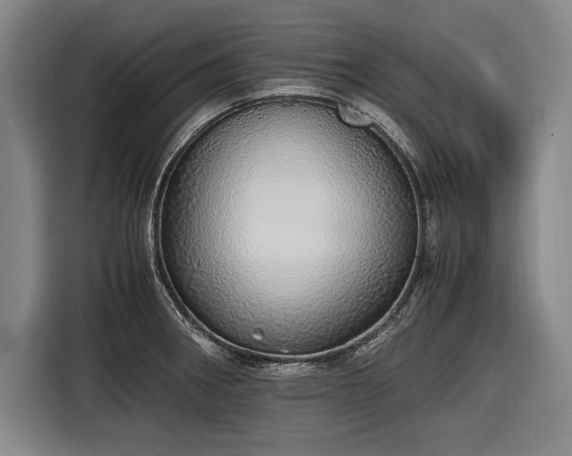 X0000116461282200912161225