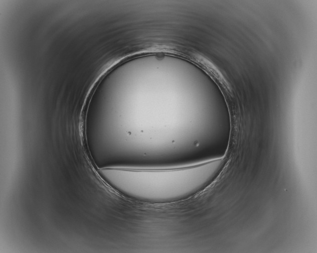 X0000116461284200912161225