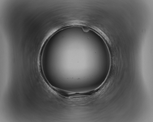 X0000116461285200912161225