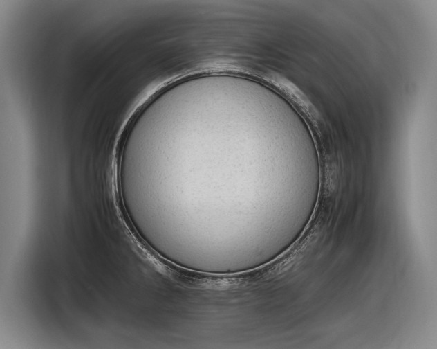 X0000116461286200912161225