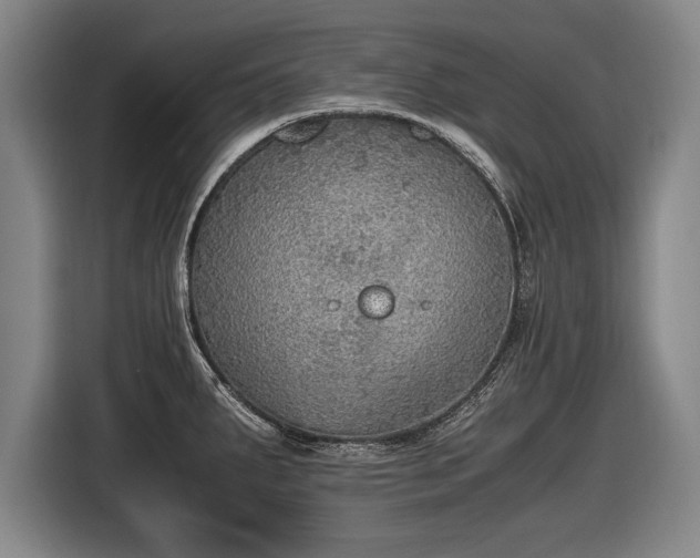 X0000116461287200912161225