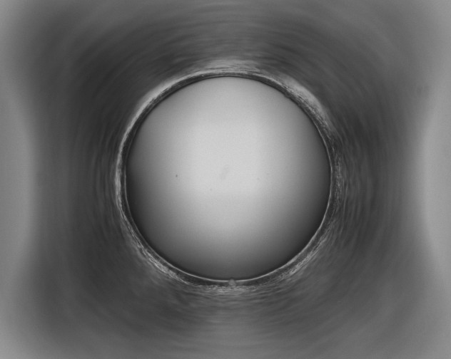 X0000116461288200912161225
