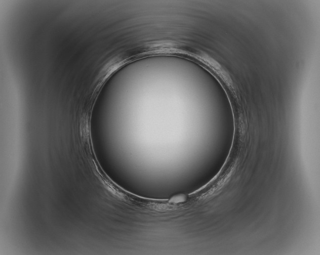 X0000116461289200912161225
