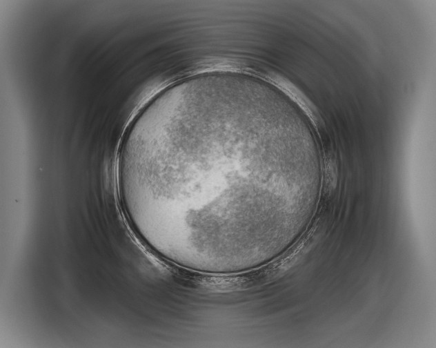 X0000116461290200912161225