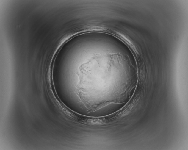 X0000116461291200912161225