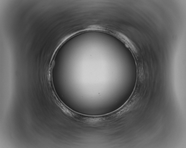 X0000116461292200912161225