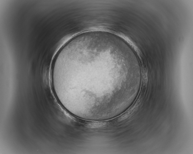 X0000116461294200912161224