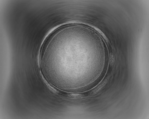 X0000116461295200912161224