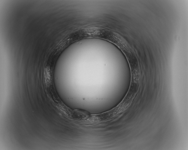 X0000116461298200912161224