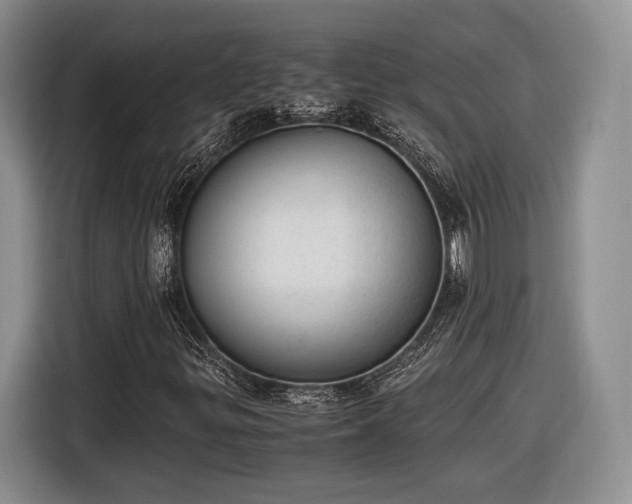 X0000116461299200912161224