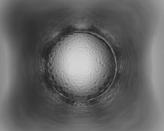 X0000116461301200912161224