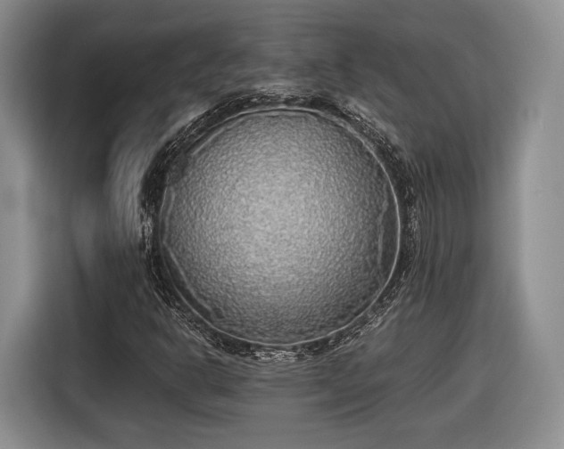 X0000116461302200912161224