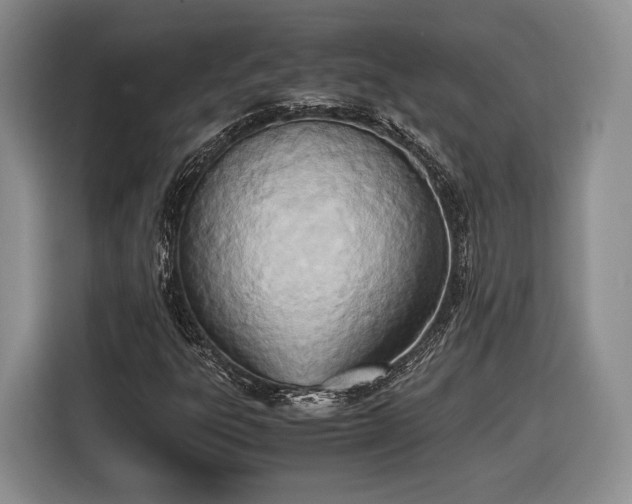 X0000116461303200912161224