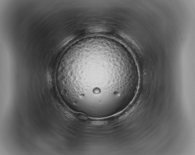 X0000116461305200912161224