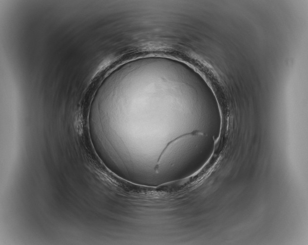 X0000116461306200912161224