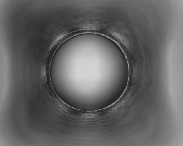 X0000116461307200912161224
