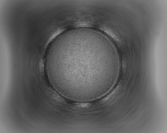 X0000116461309200912161224