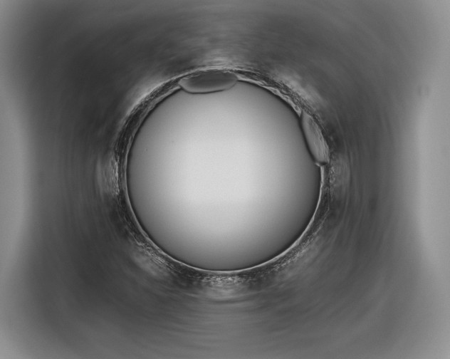 X0000116461310200912161224