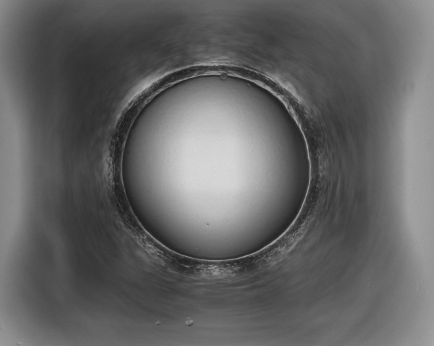 X0000116461311200912161224