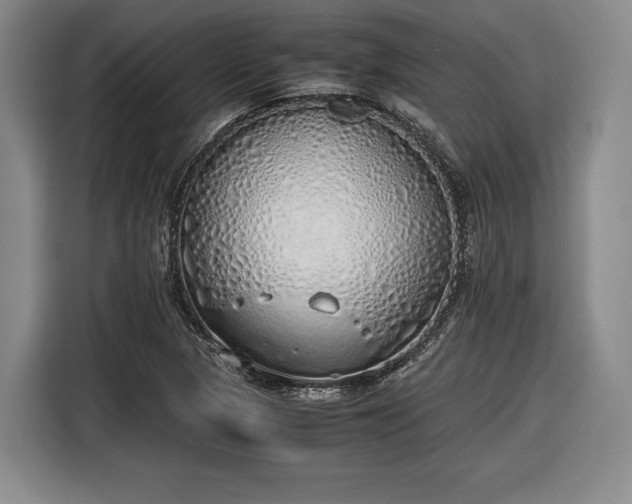 X0000116461313200912161224