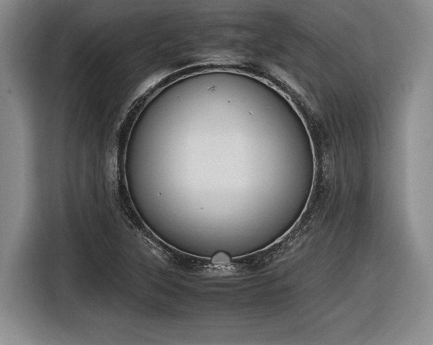 X0000116461315200912161224