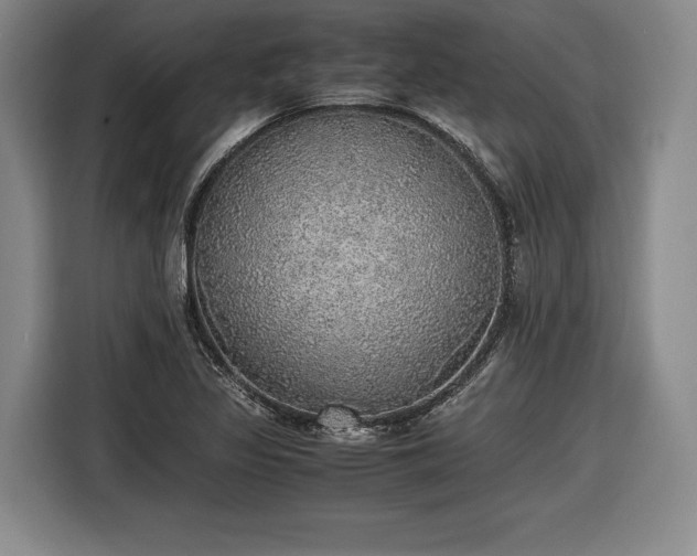 X0000116461317200912161224