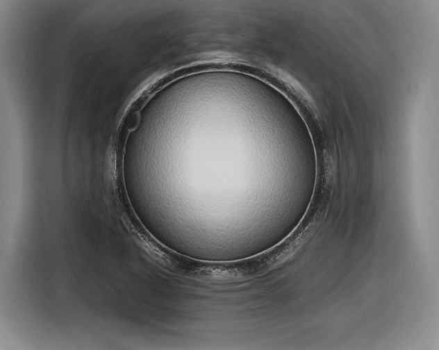 X0000116461318200912161224