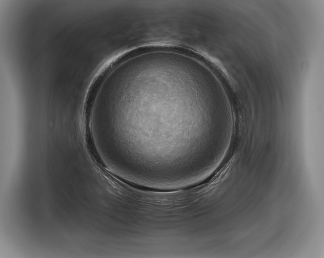 X0000116461319200912161224