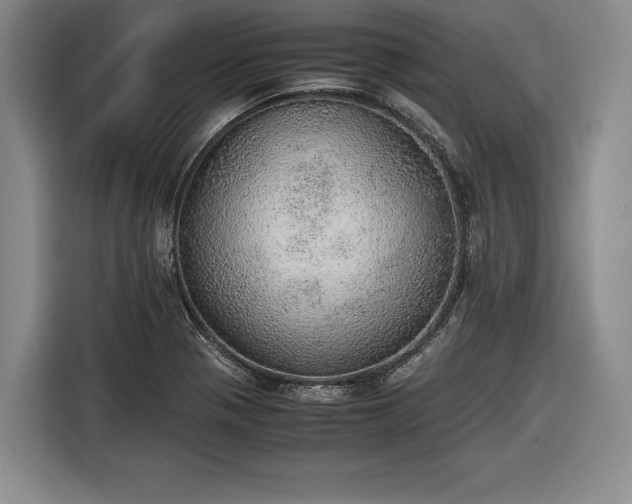 X0000116461321200912161224