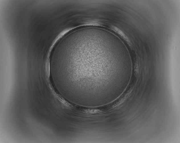 X0000116461323200912161224
