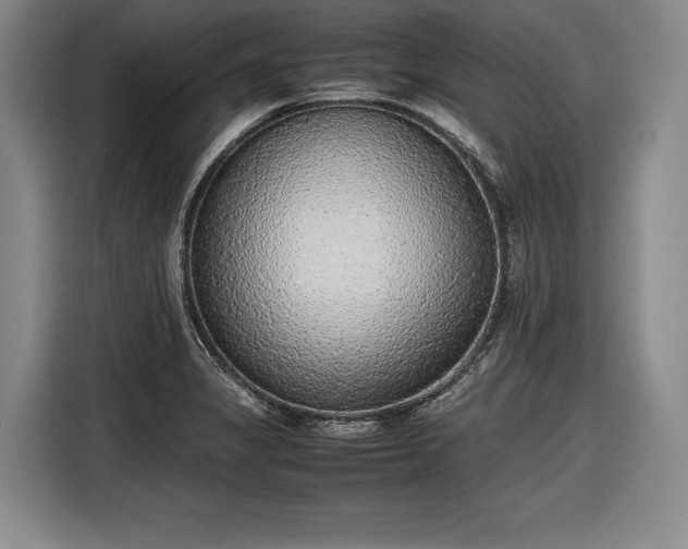 X0000116461325200912161224