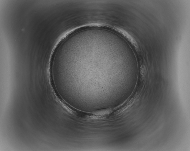 X0000116461327200912161224