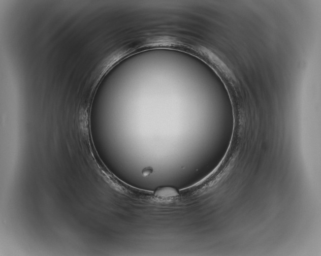X0000116461329200912161224