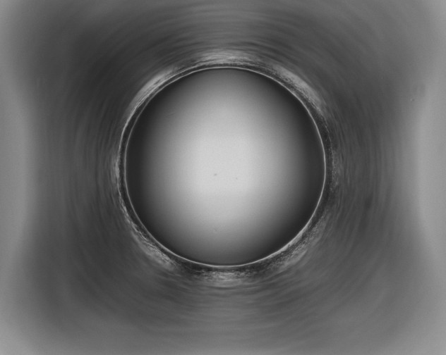 X0000116461330200912161224