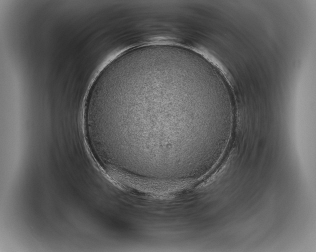 X0000116461333200912161224