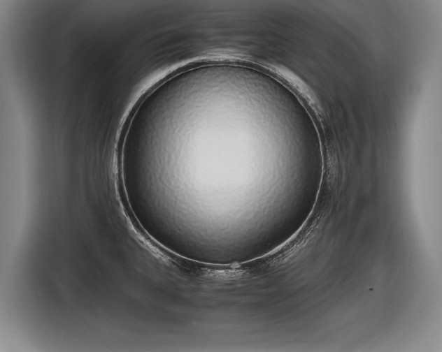 X0000116461335200912161224