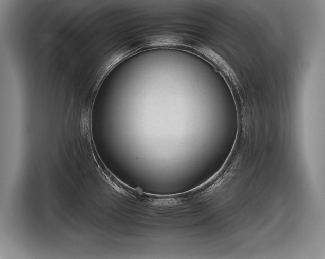 X0000116461337200912161224