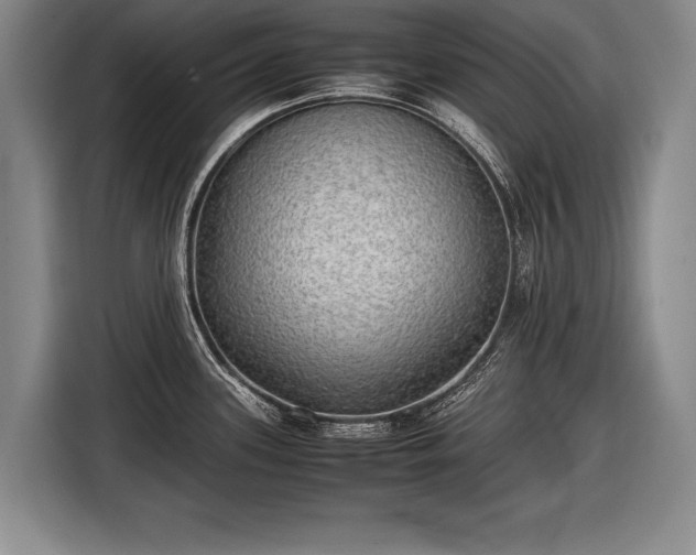 X0000116461339200912161224