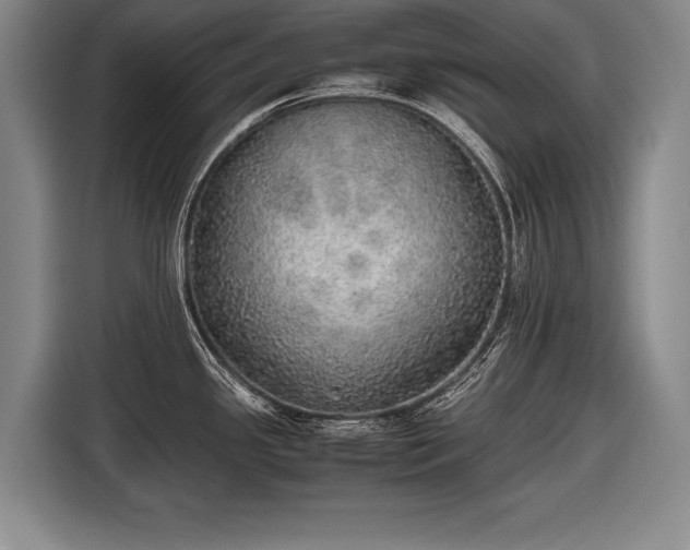 X0000116461341200912161224